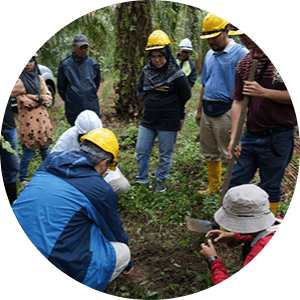 Nuestro Progreso por los Bosques Sostenibles