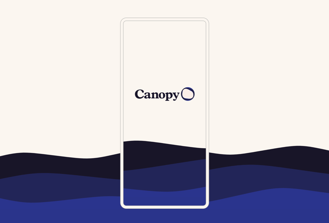 Canopy mobile screen