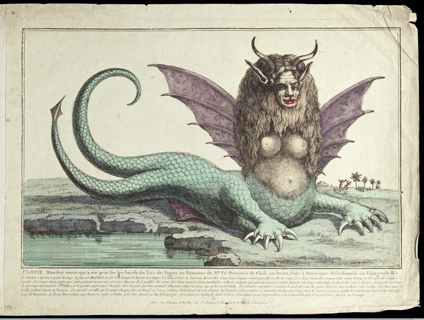 The "Peruvian harpy": a harpy with two tails, Credit: Wellcome Library, London. Wellcome Images CC BY 4.0 