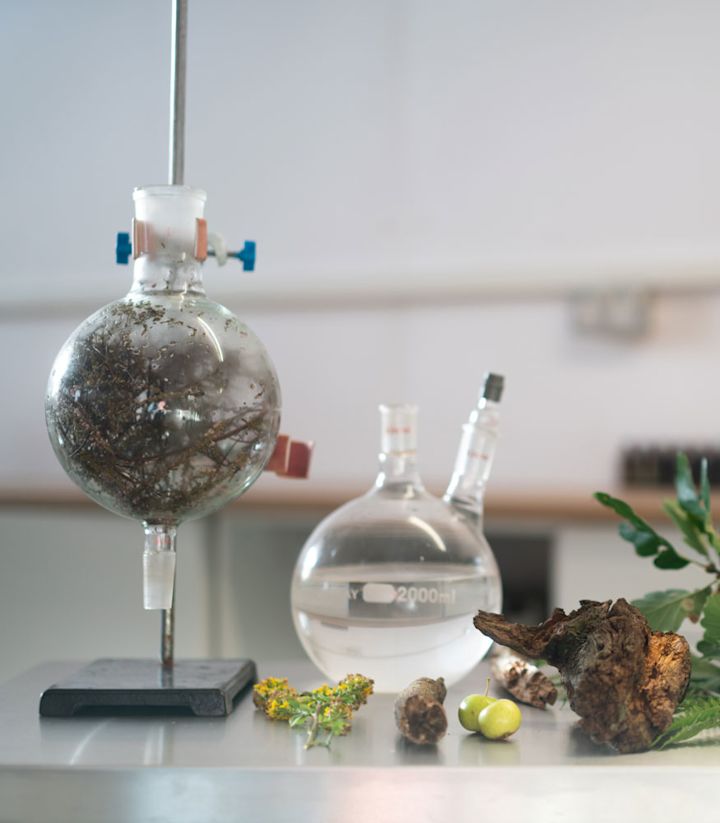 Lab with Seaweed
