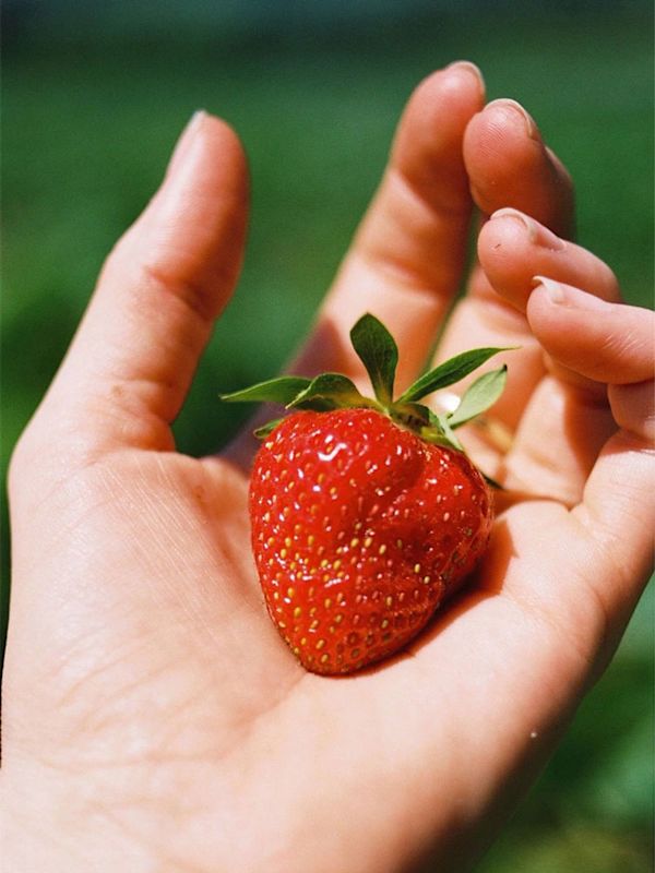 Julia Kidder Strawberry