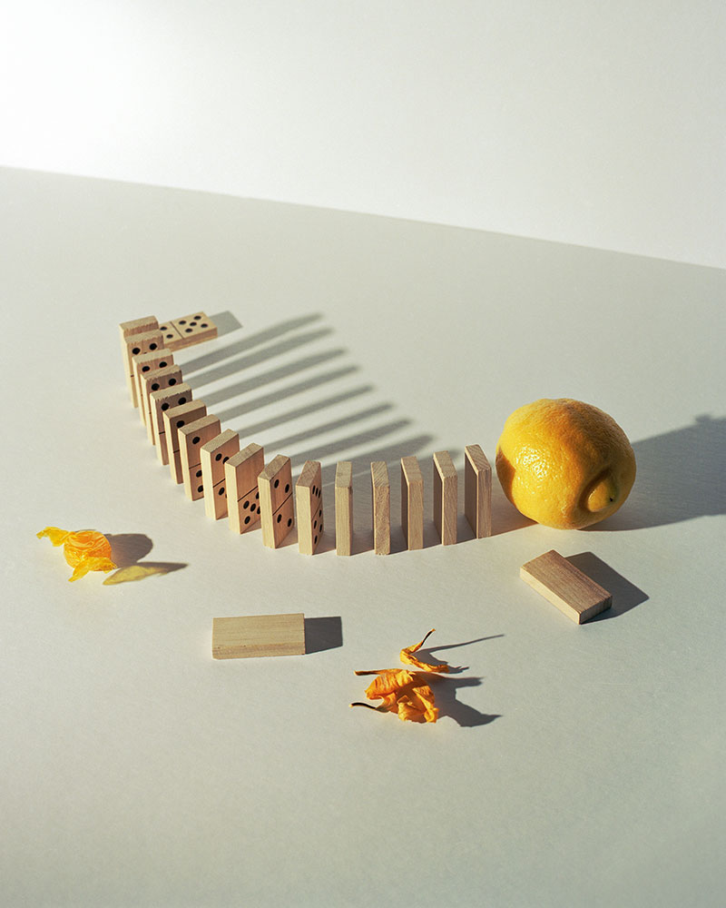 Friendship - art direction - nature morte - decor - conceptual art