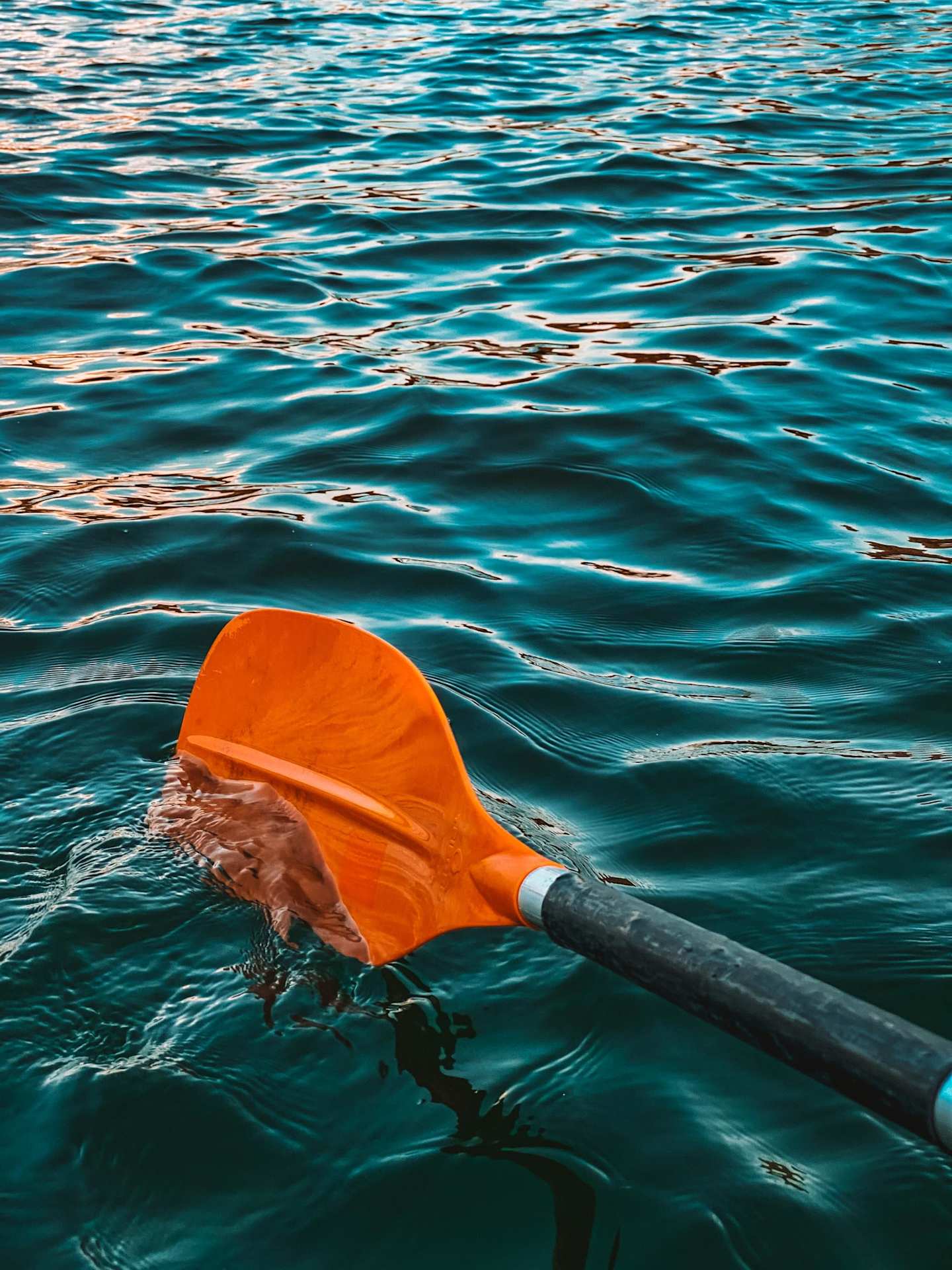 Orange oar in water on a row boat