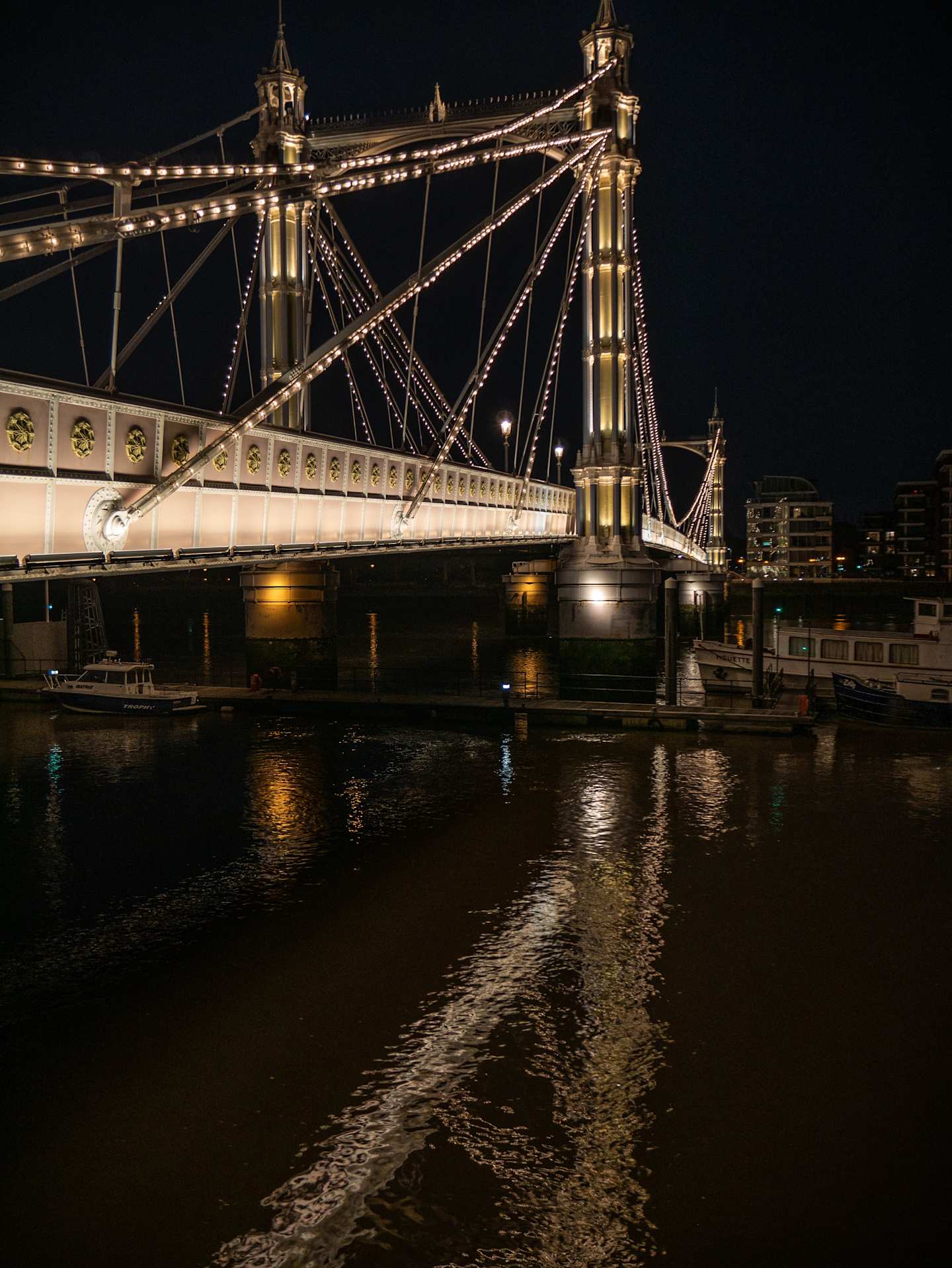 Albert Bridge at night, London