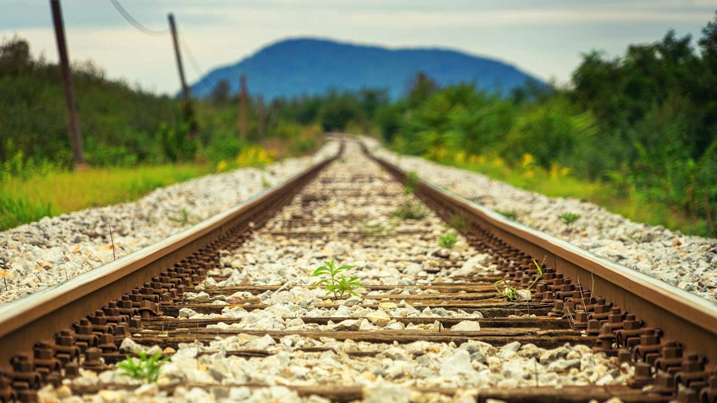 An old train track running on the ground past some trees