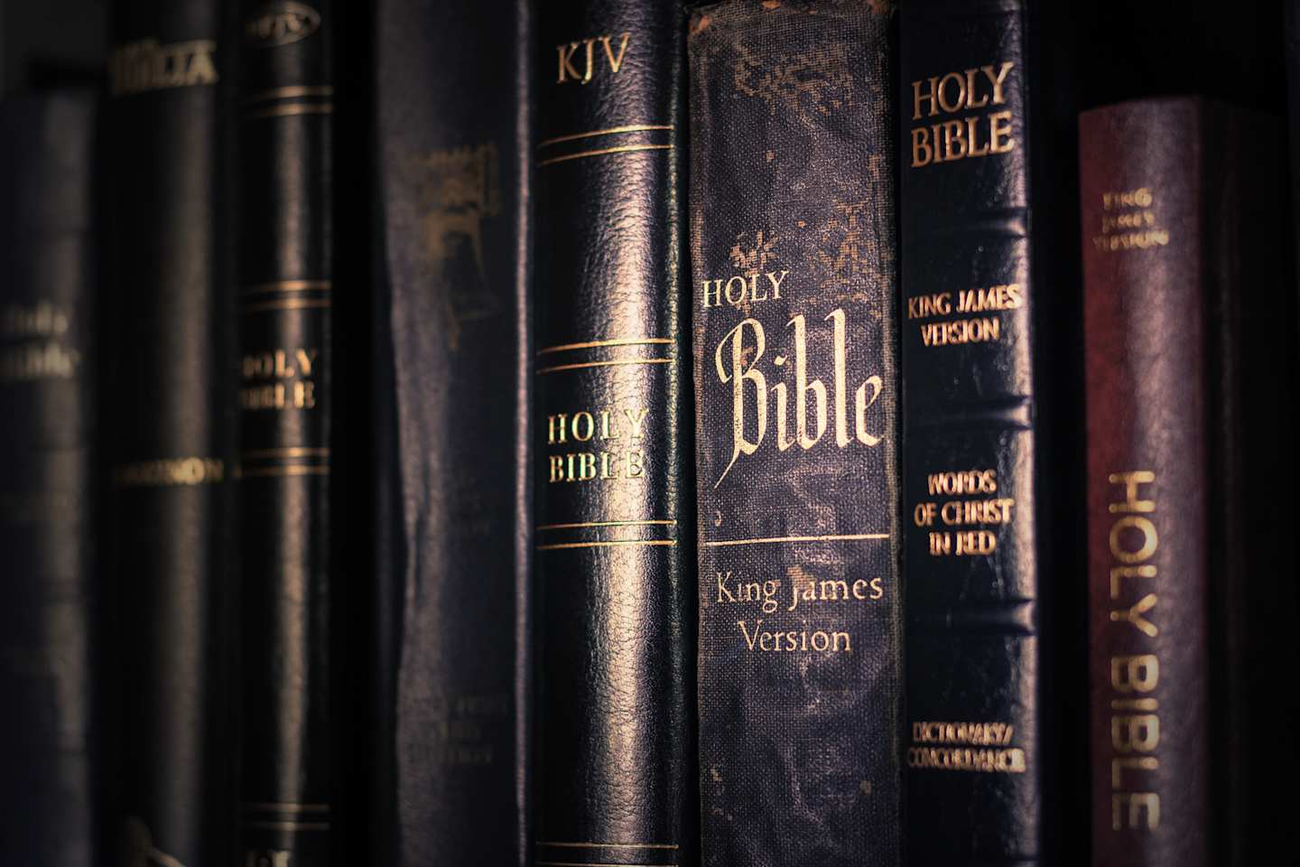 Bibles lined up on a bookshelf