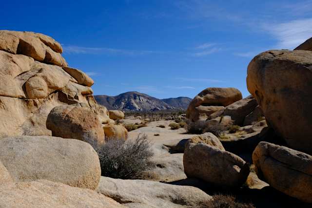 Joshua Tree, California, USA