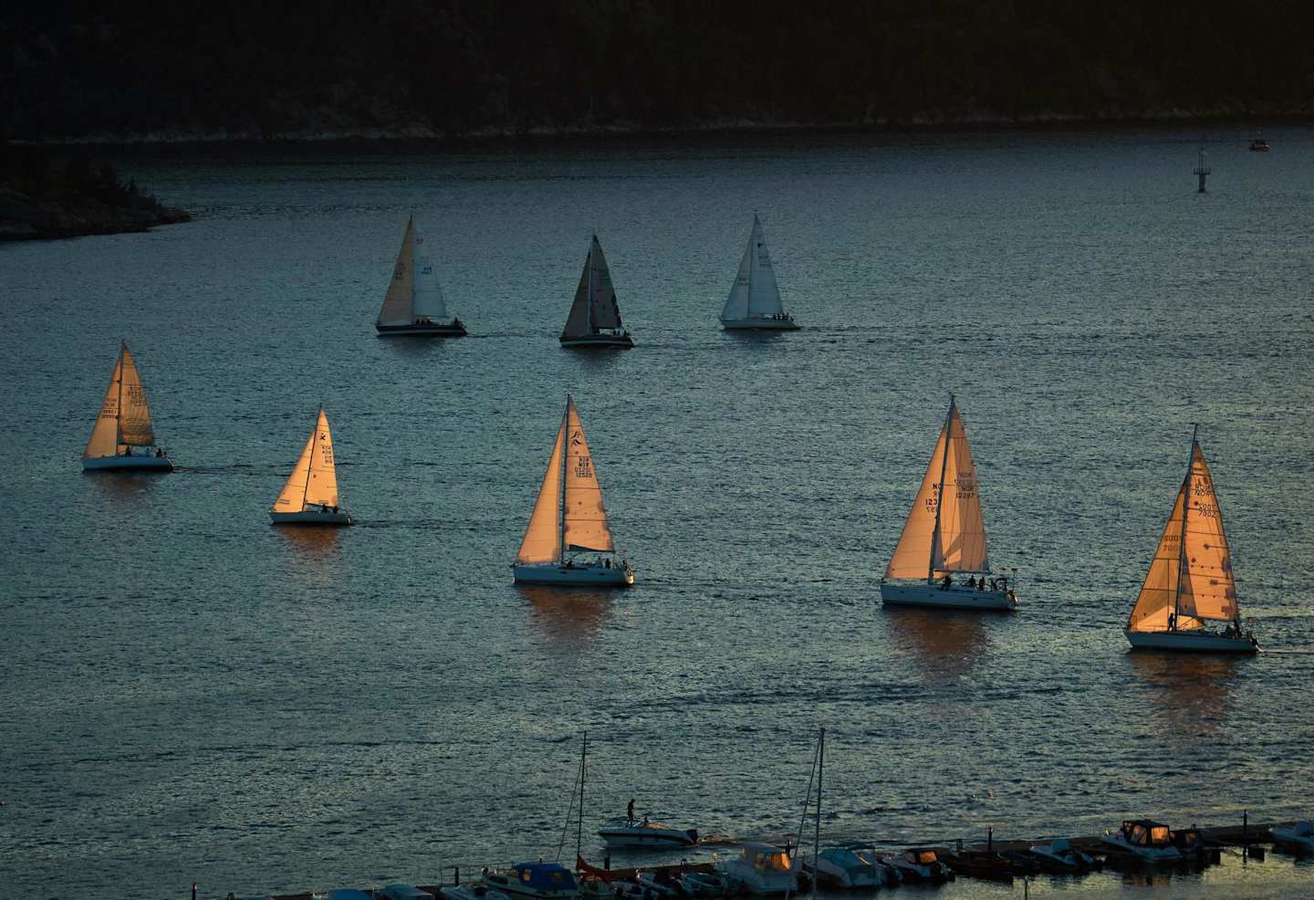 Sailboats on the water in a boat race