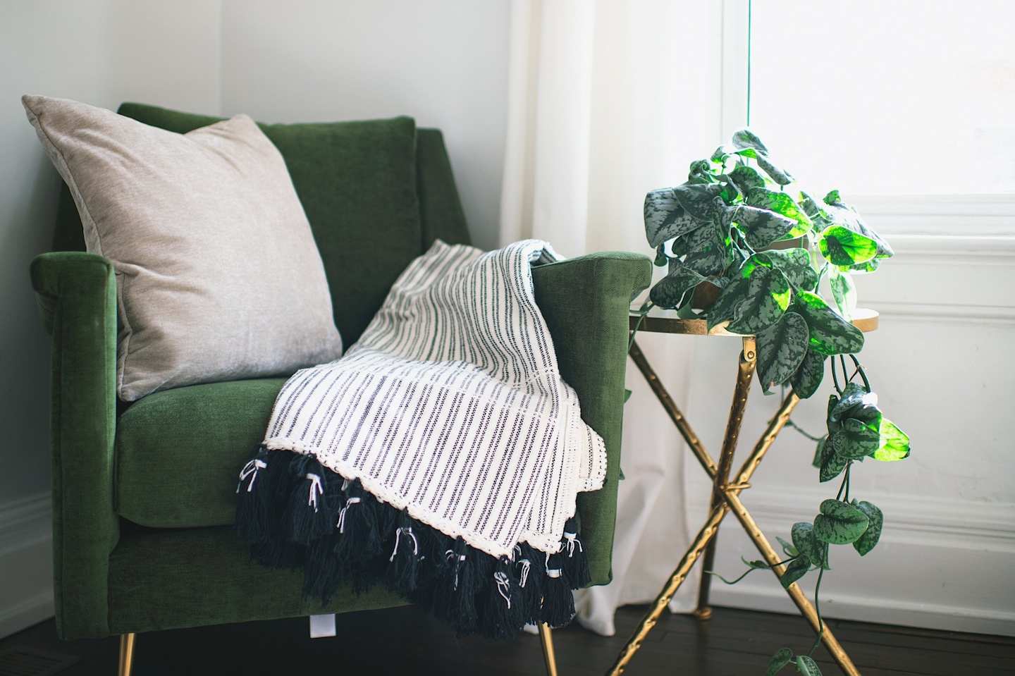 Chair and house plant in home