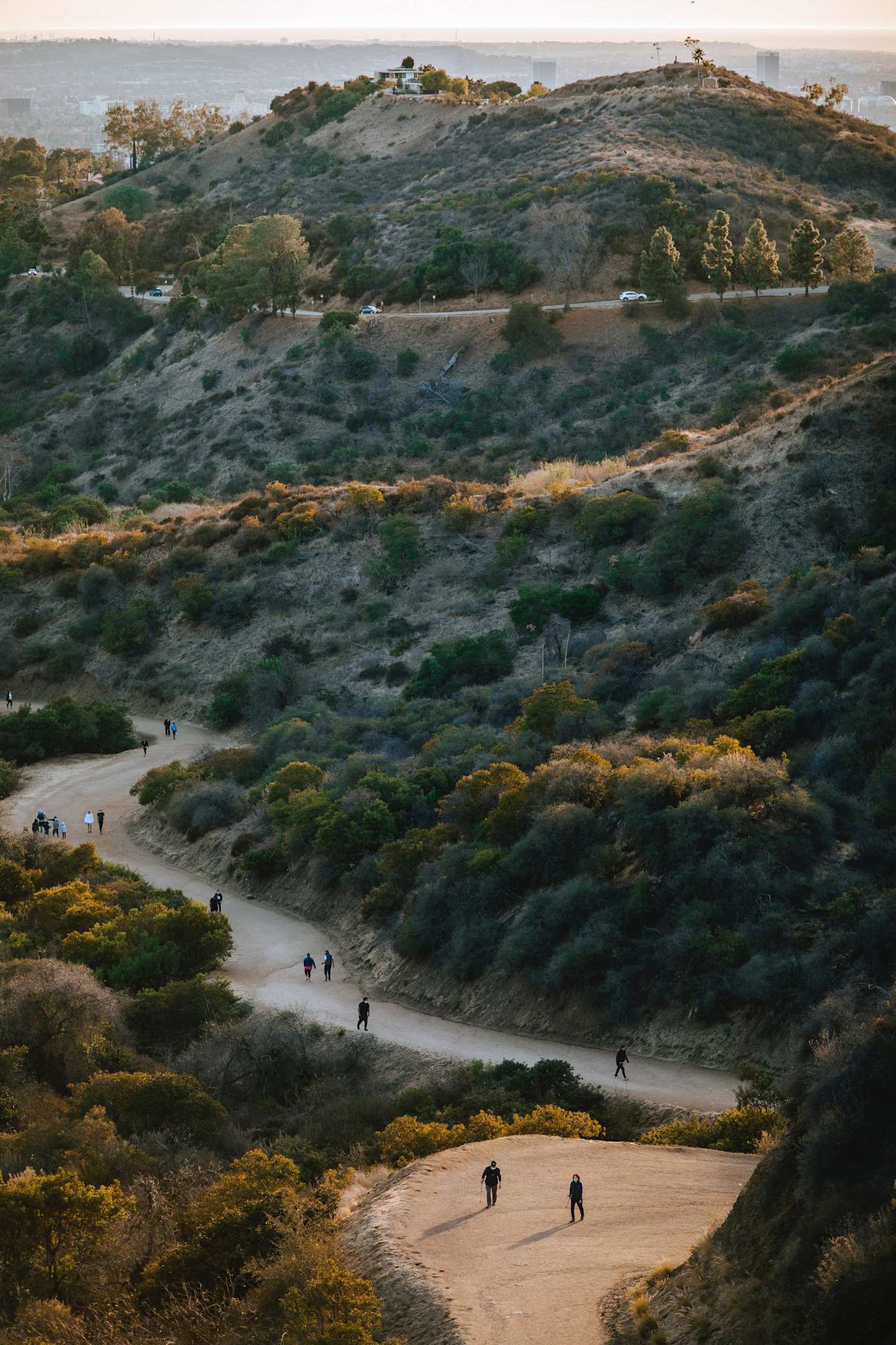 Aerial view of Griffith Park