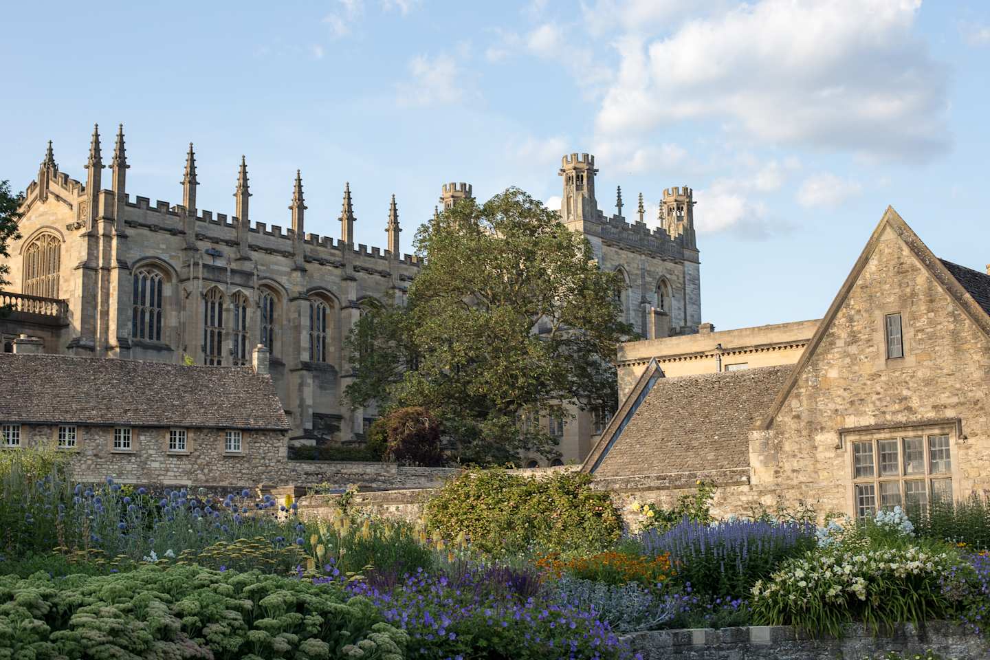 Christ Church Meadow in Oxford