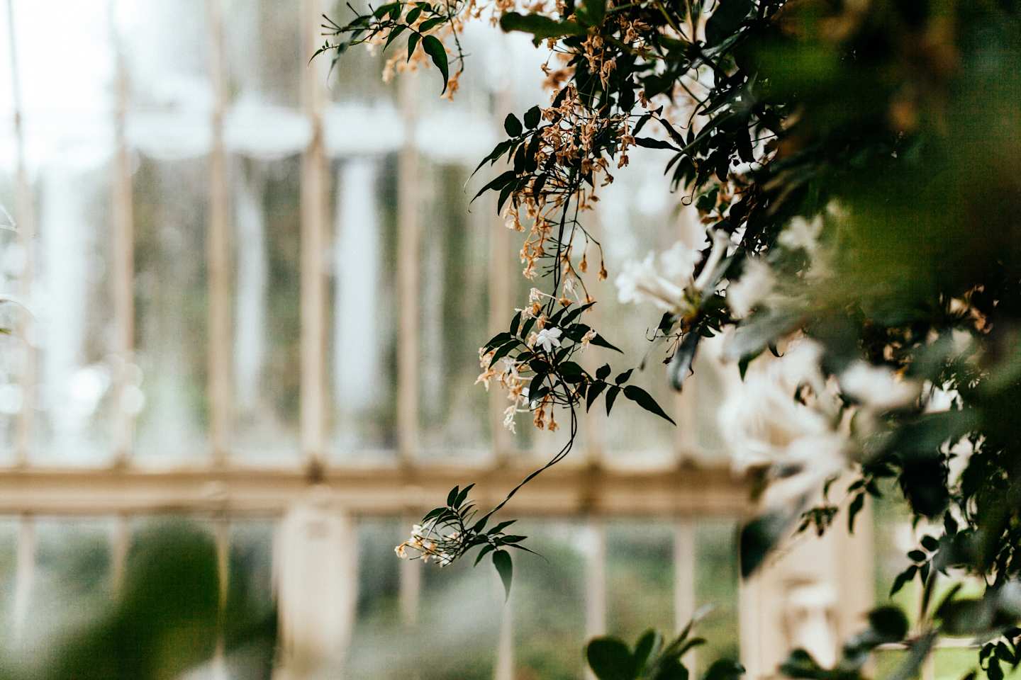 National Botanic Gardens in Dublin