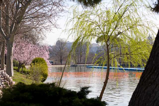 Casa de Campo, Madrid