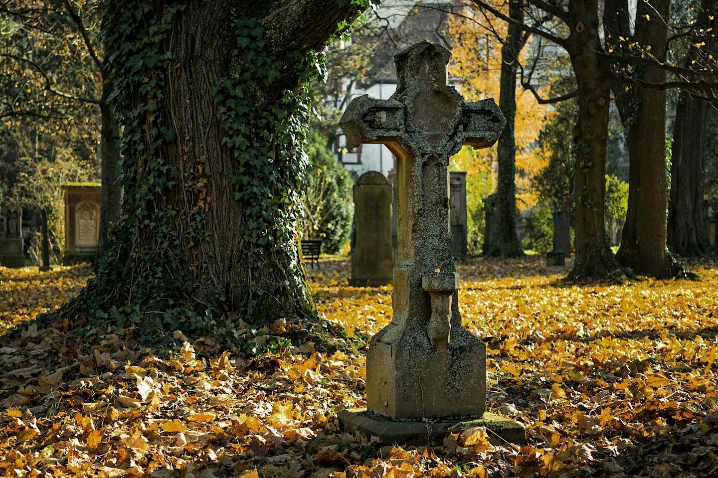 Tombstone in a graveyard in Autumn