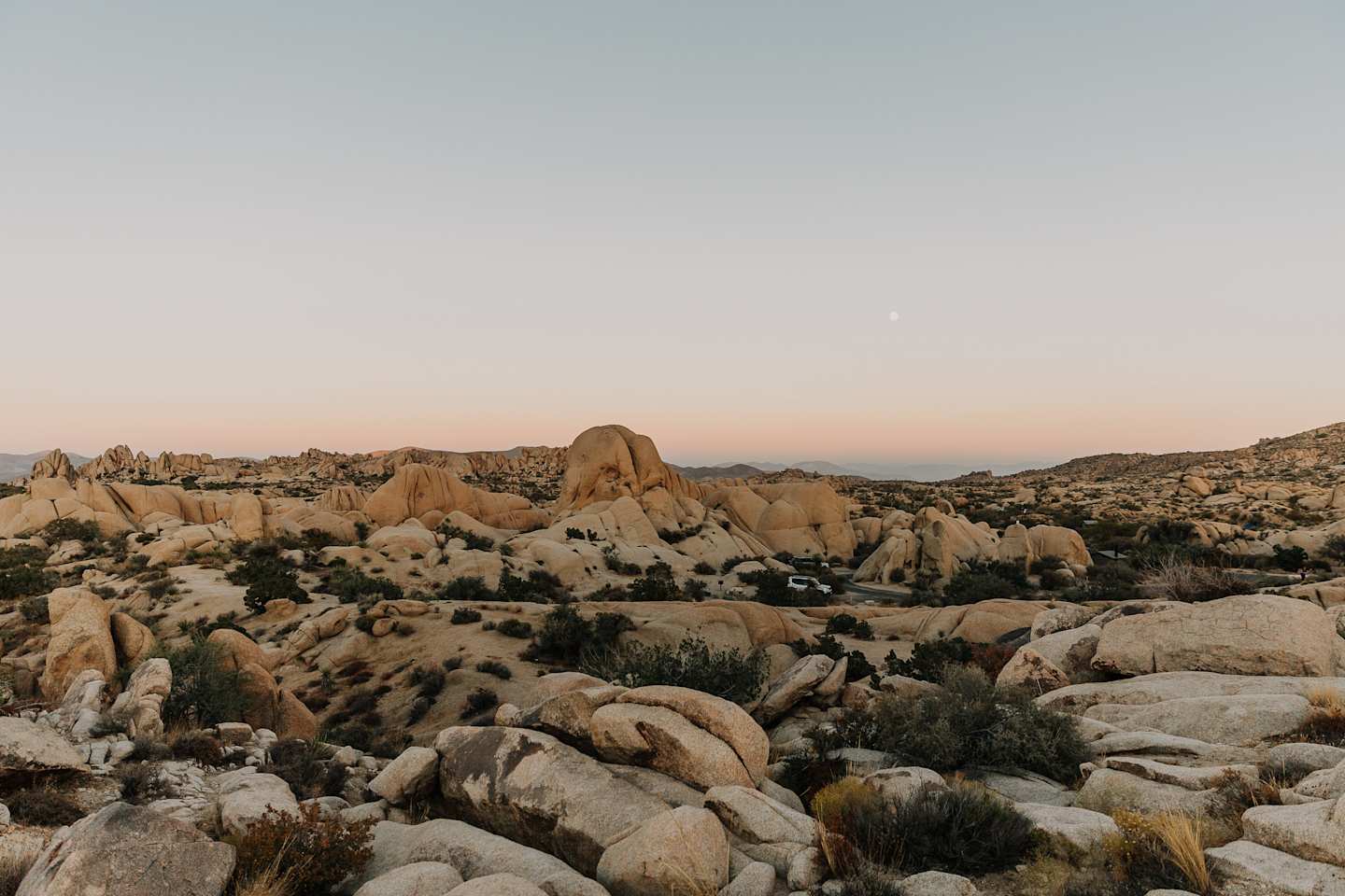 Landscape at sunset in Joshua Tree