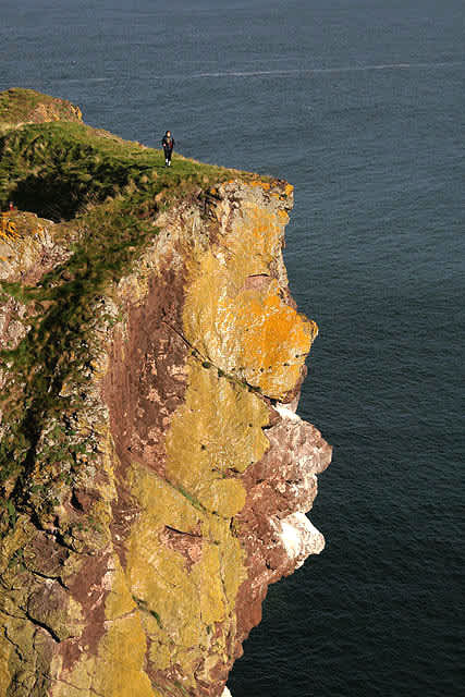 St Abbs Head National Nature Reserve, Scotland | Photo © Walter Baxter (cc-by-sa/2.0)