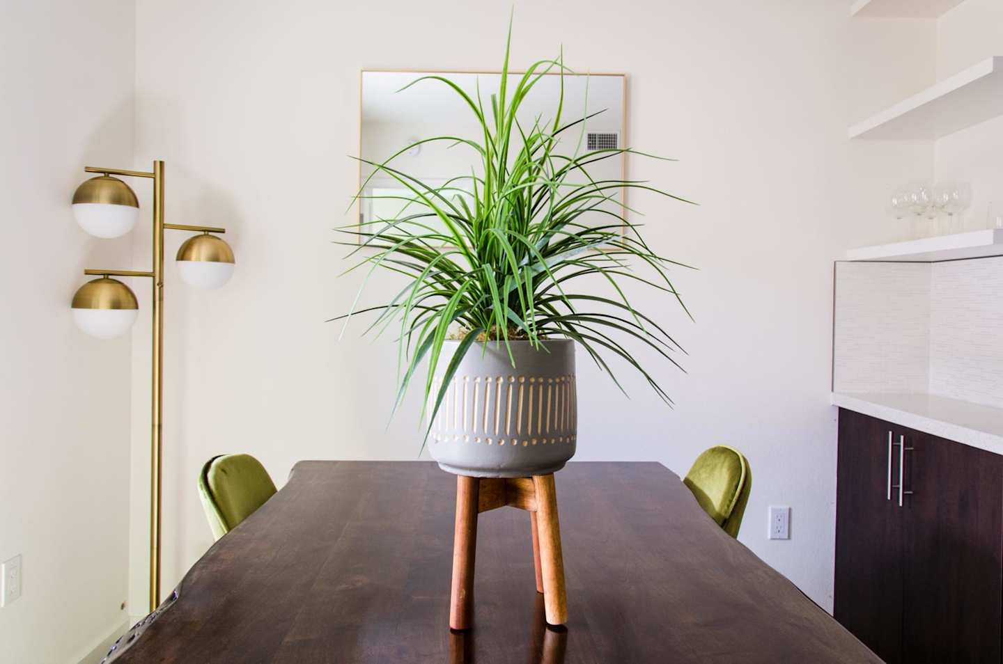 House plant on the table at Cotton Candy, Plum Guide home in Los Angeles