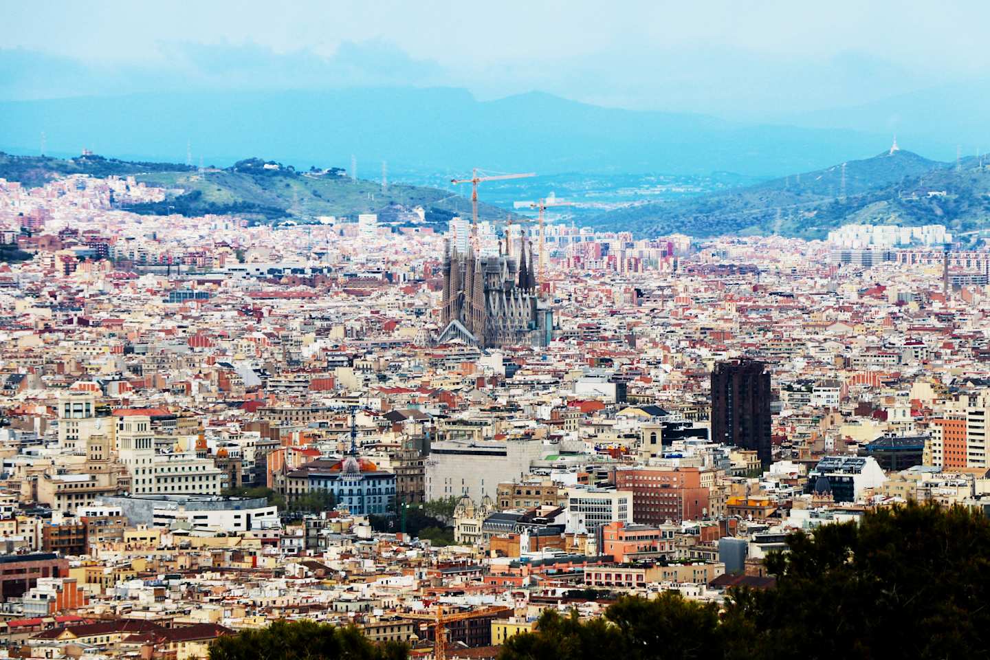 Epic view over Barcelona's neighbourhoods