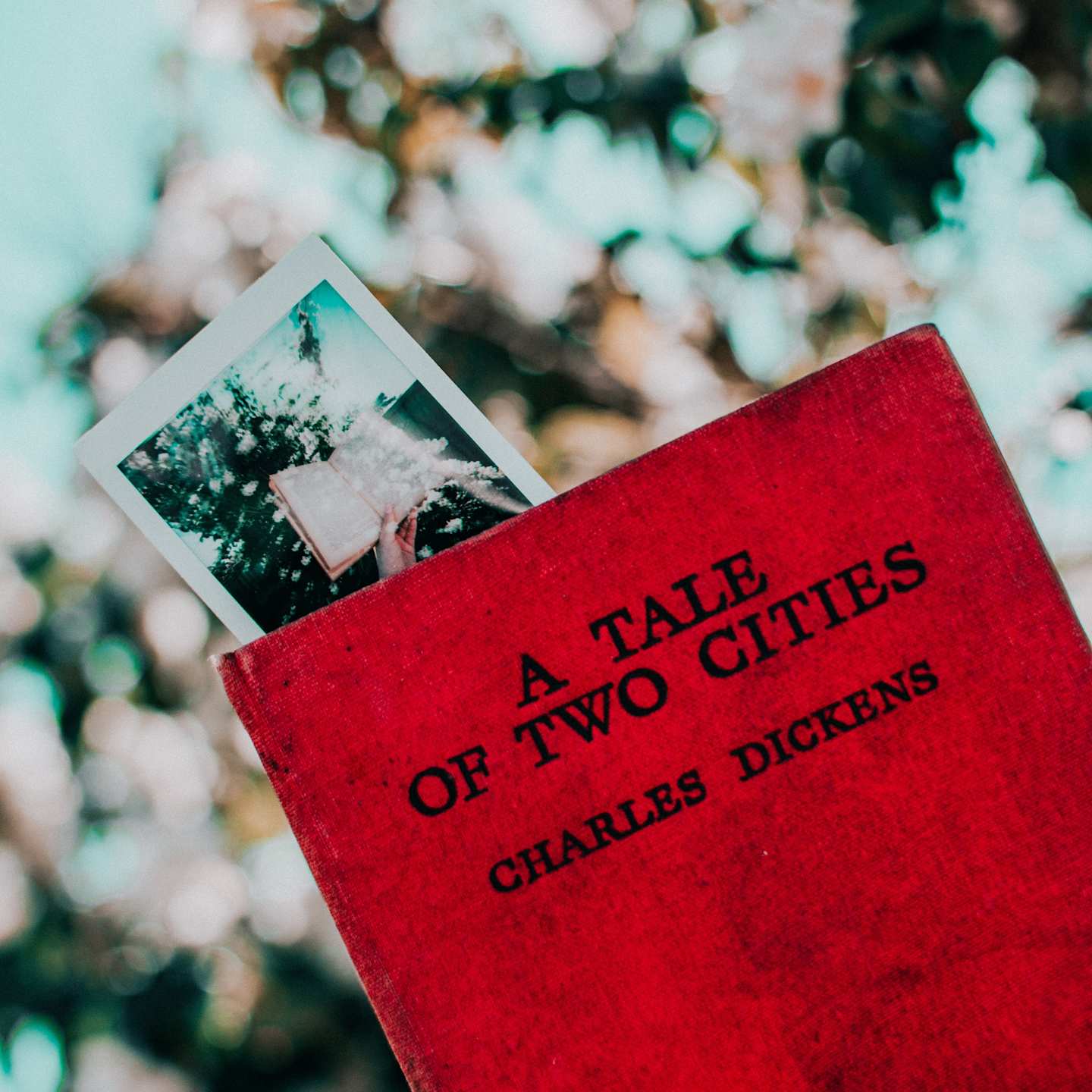The book A Tale of Two Cities by Charles Dickens