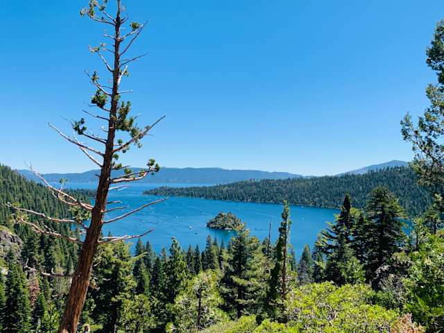 A view of South Lake Tahoe through trees on a sunny day, USA