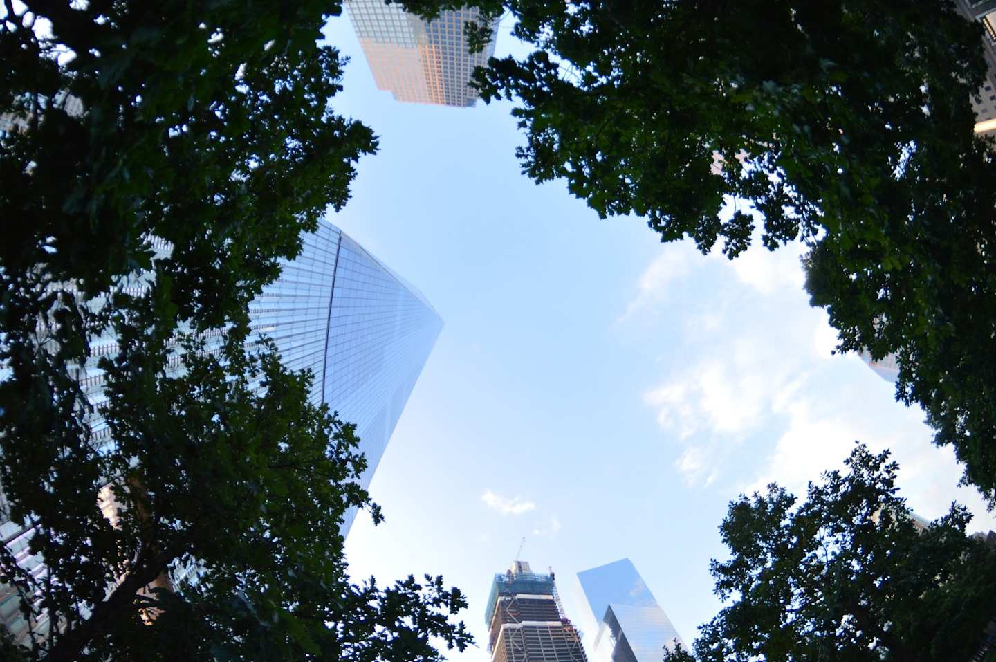 A low angle show of New York from Battery Park