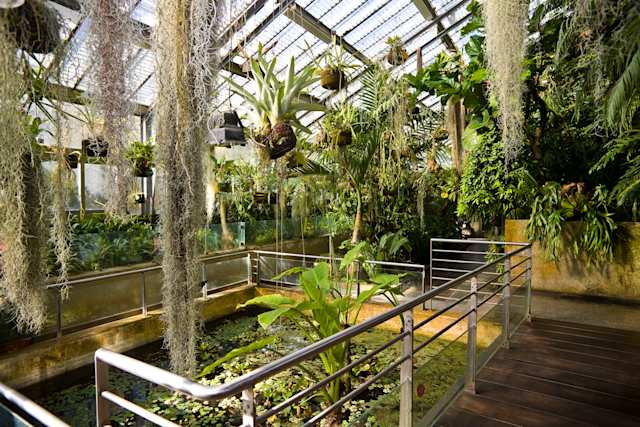 Real Jardín Botánico, Madrid