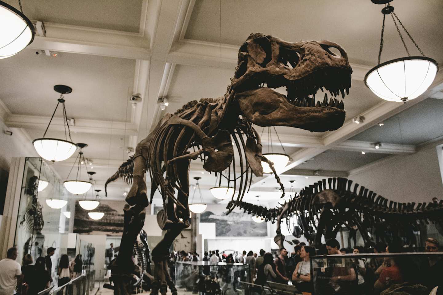 American Museum of Natural History