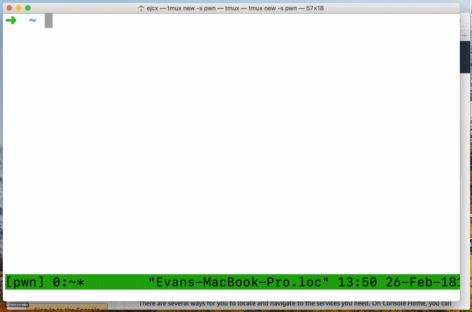 asset_sJsjOEX2.gif Zoom with margin