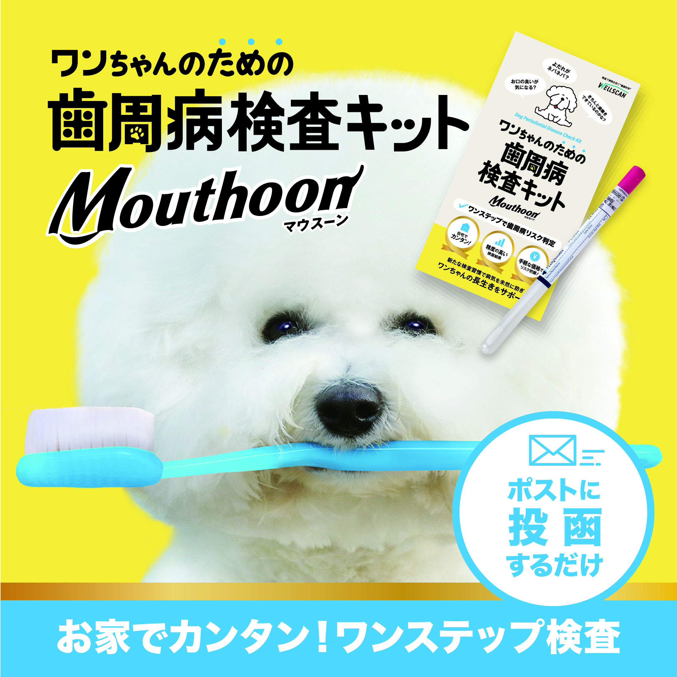 歯周病対策に!愛犬のお口の菌を調べるセルフチェックキット「Mouthoon(マウスーン)」の無料モニターを募集します!