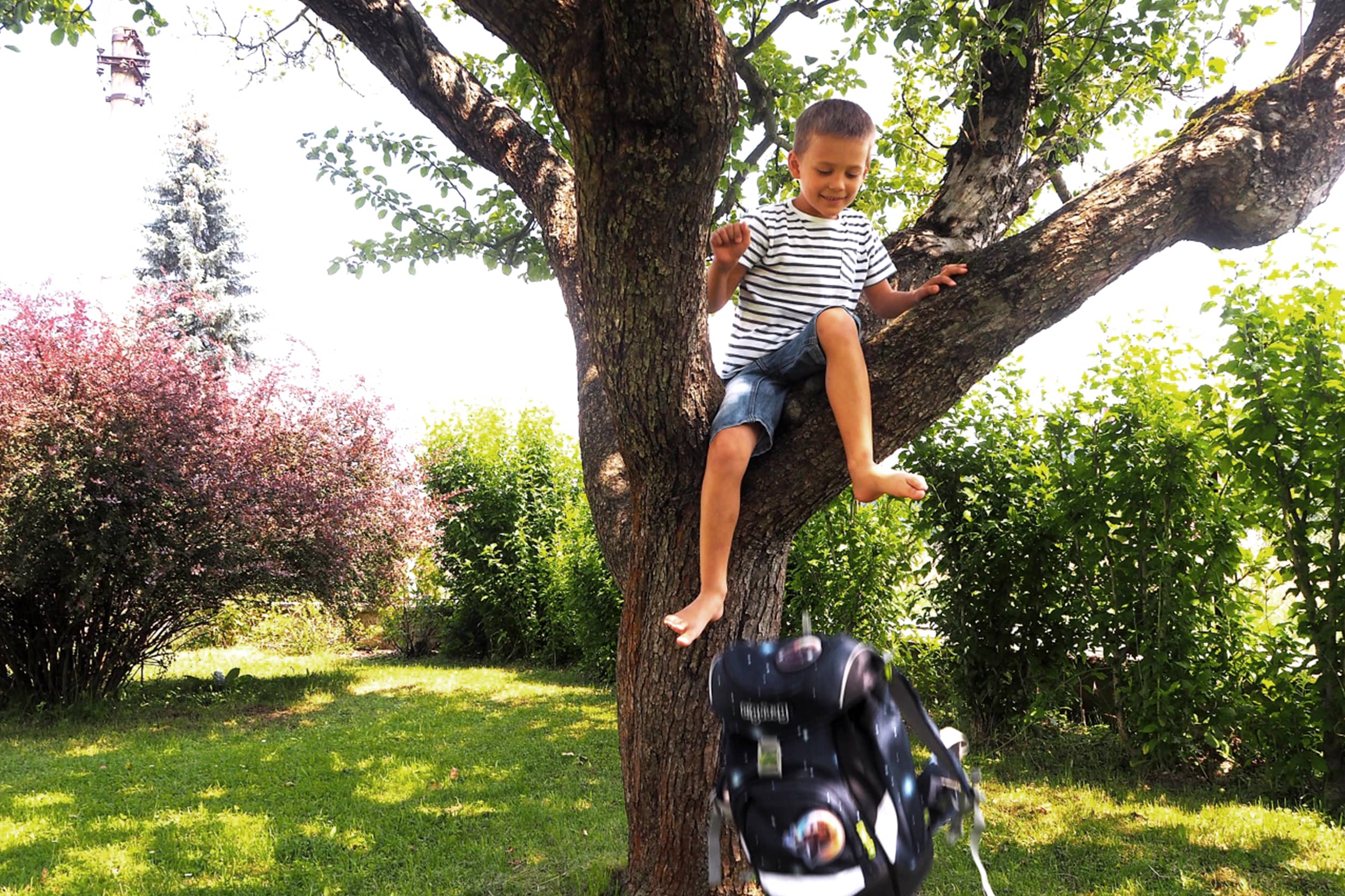 junge-ergobag-baum