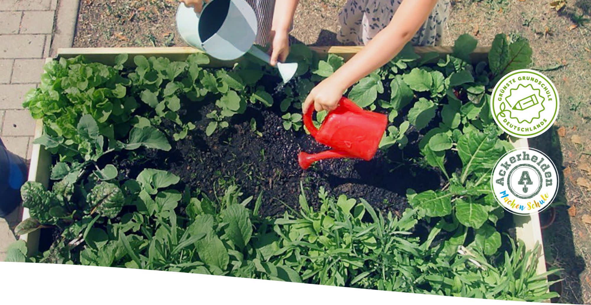 ergobag-sucht-deutschlands-gruenste-grundschule-giesskannen-beet-xl