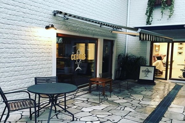 Cedros