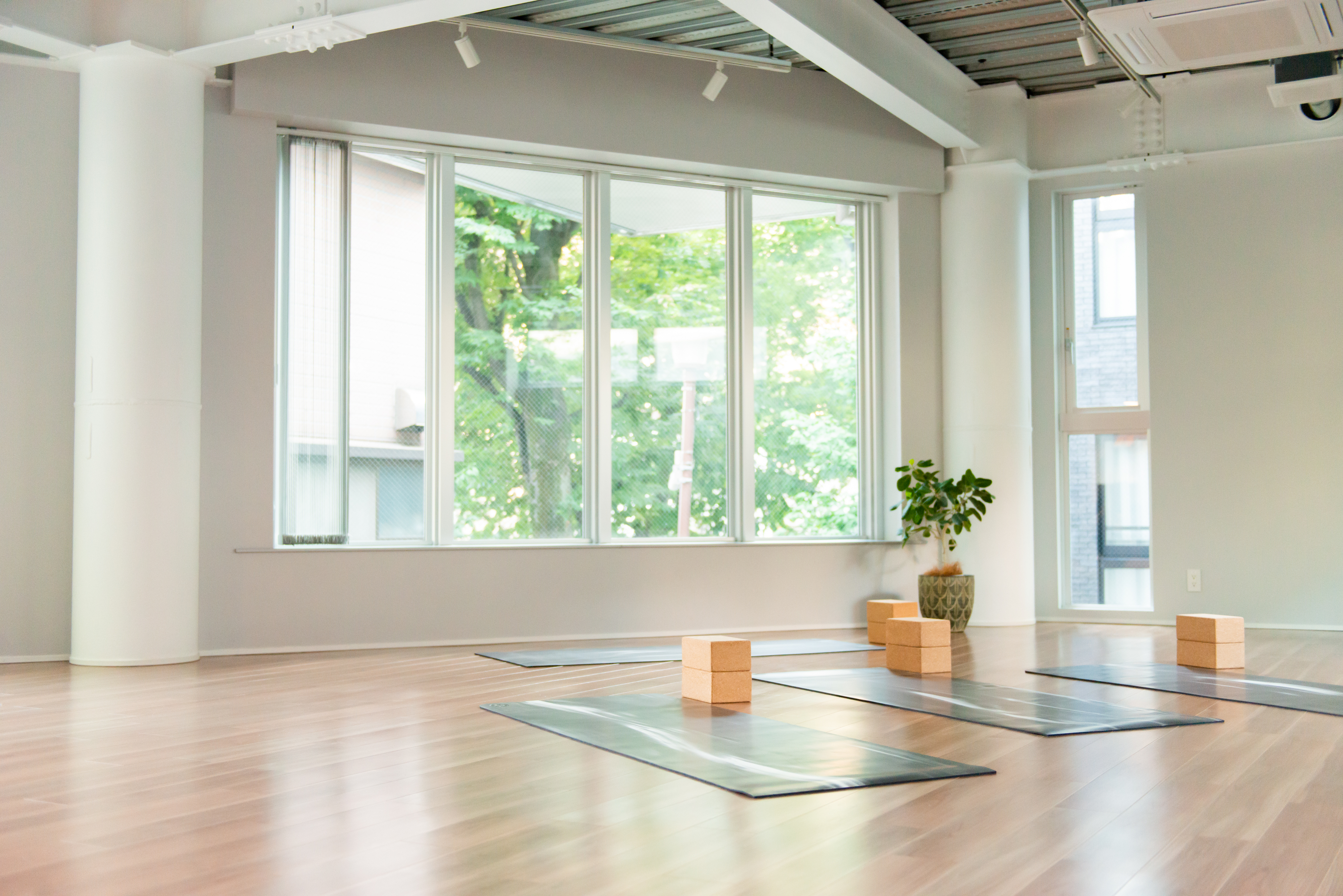 MINT MAT Yoga Studio
