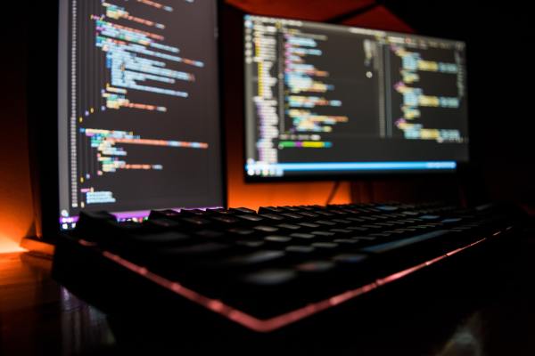 IT/software subsidy