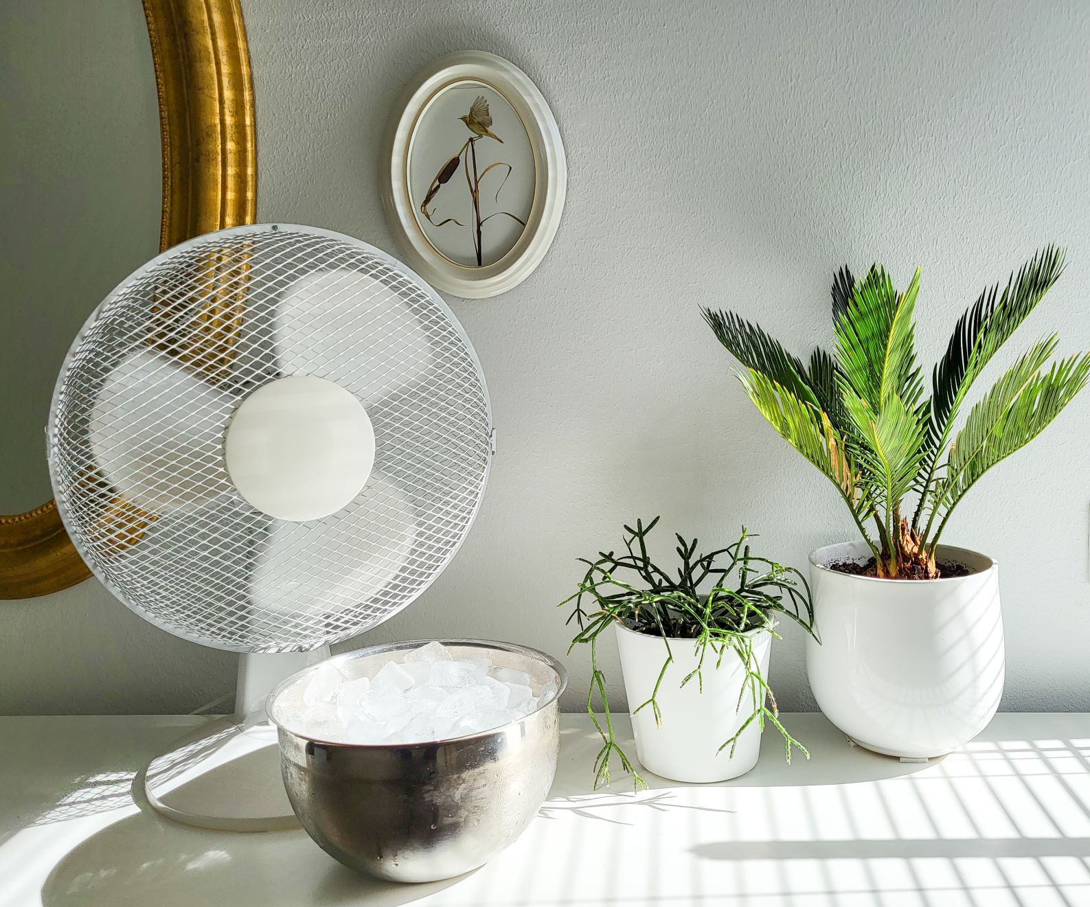 summer tip - put ice cubes in front of your fan