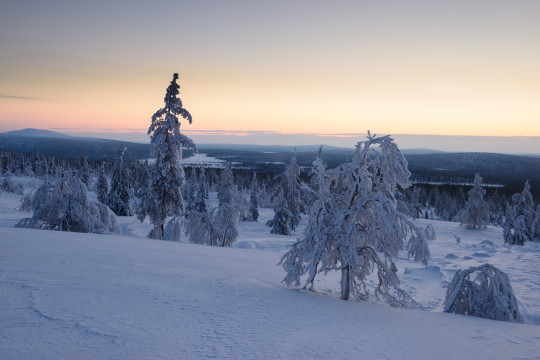 201401-Finnland-20