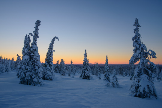 201401-Finnland-12