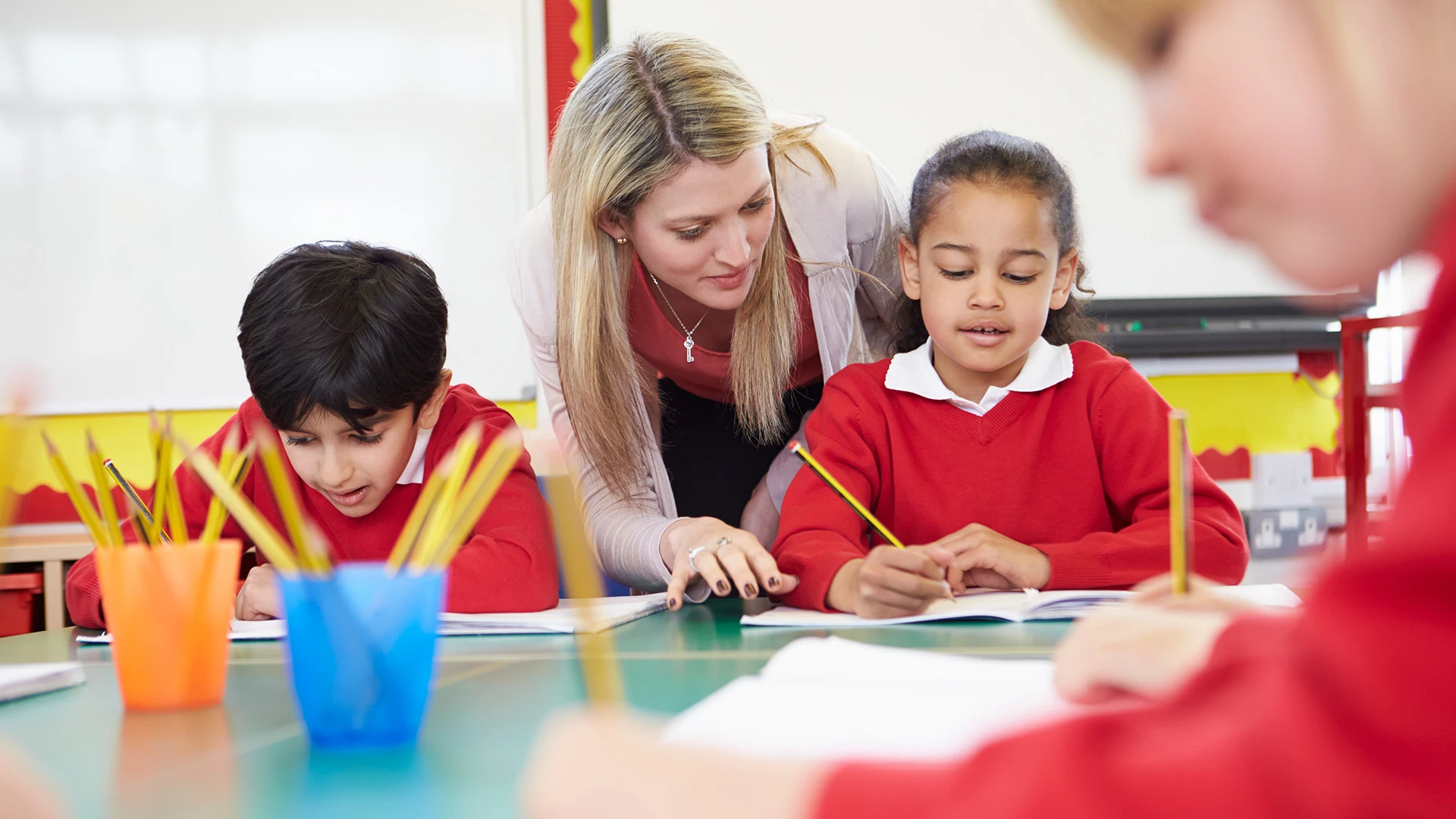 Ethnic Diversity Service - classroom