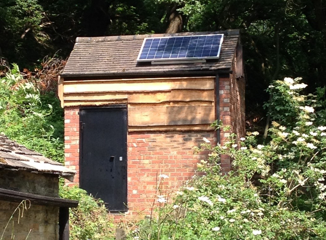 Bat house to let
