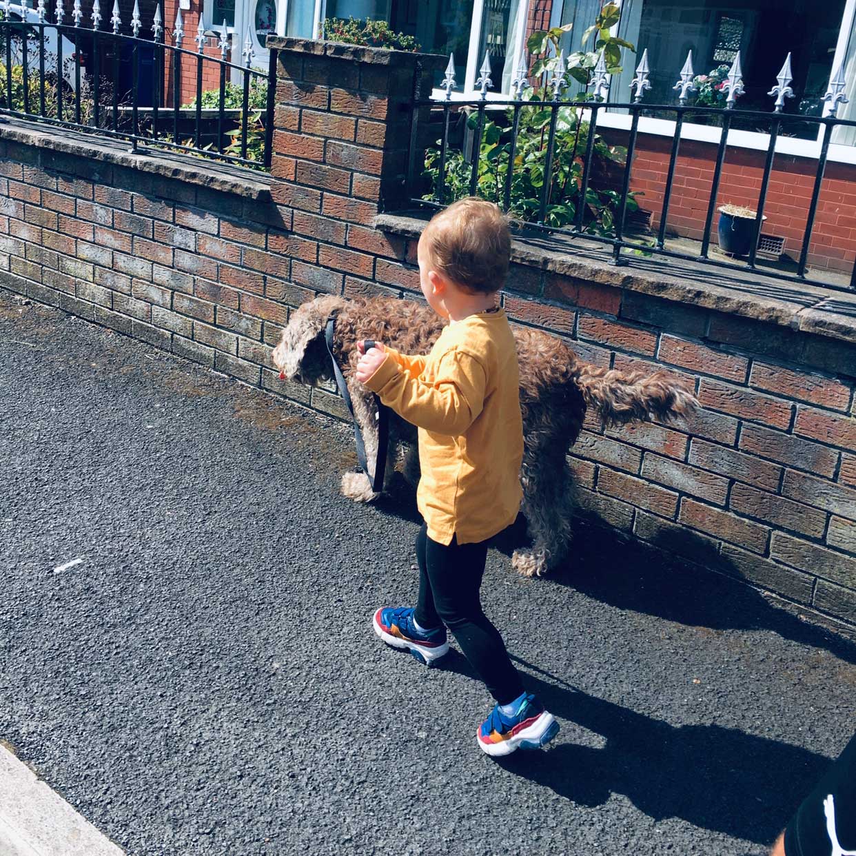 young boy walking a small dog on a lead