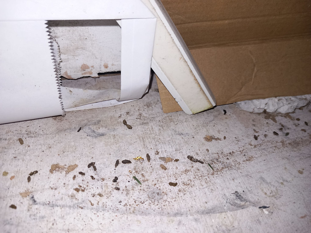Stockport dessert shop owner fined after severe mouse infestation