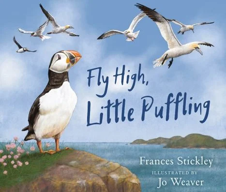 Book awards - Fly High Little Puffling