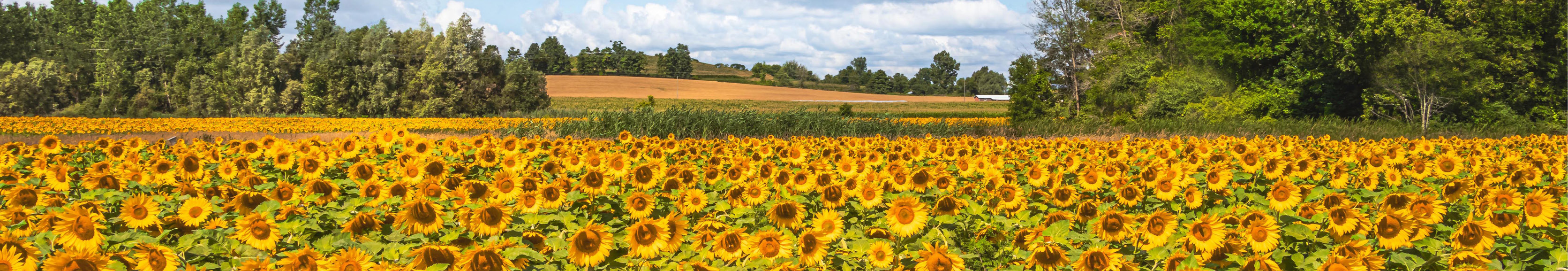 Read the latest Employer Quarterly newsletter image
