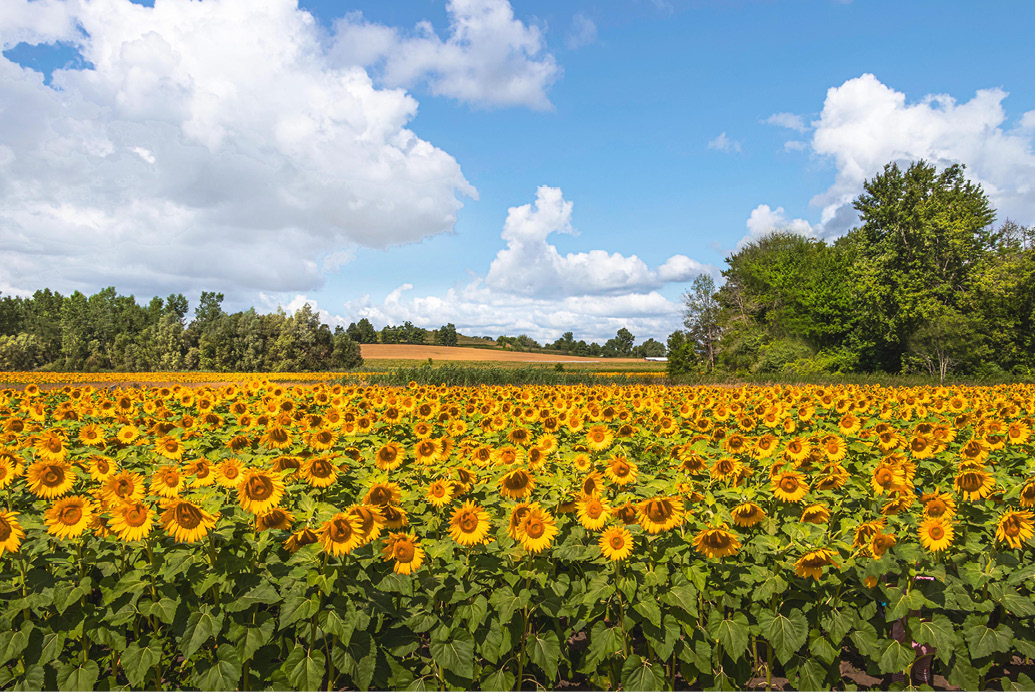 Stay updated with our member newsletter image
