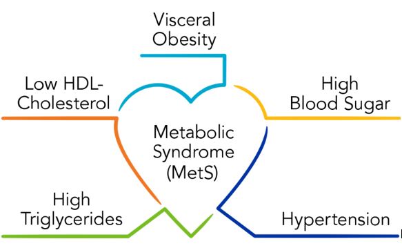 Metabolic Syndrome (MetS) in the middle of a heart with the following words coming out of it; Visceral Obesity, Hight Blood Sugar, Hypertension, High Triglycerides, Low HDL- Chloesterol.