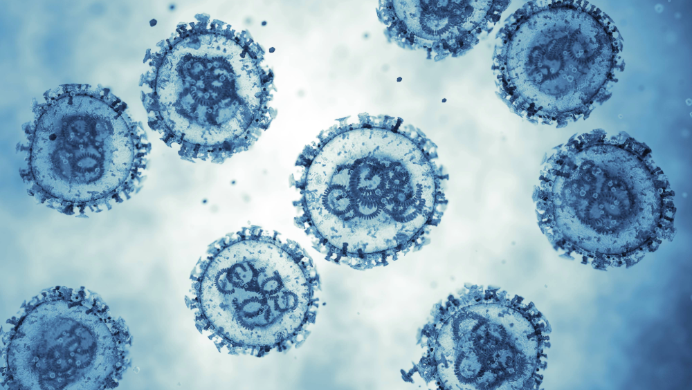 Hantavirus Hantavirus cells