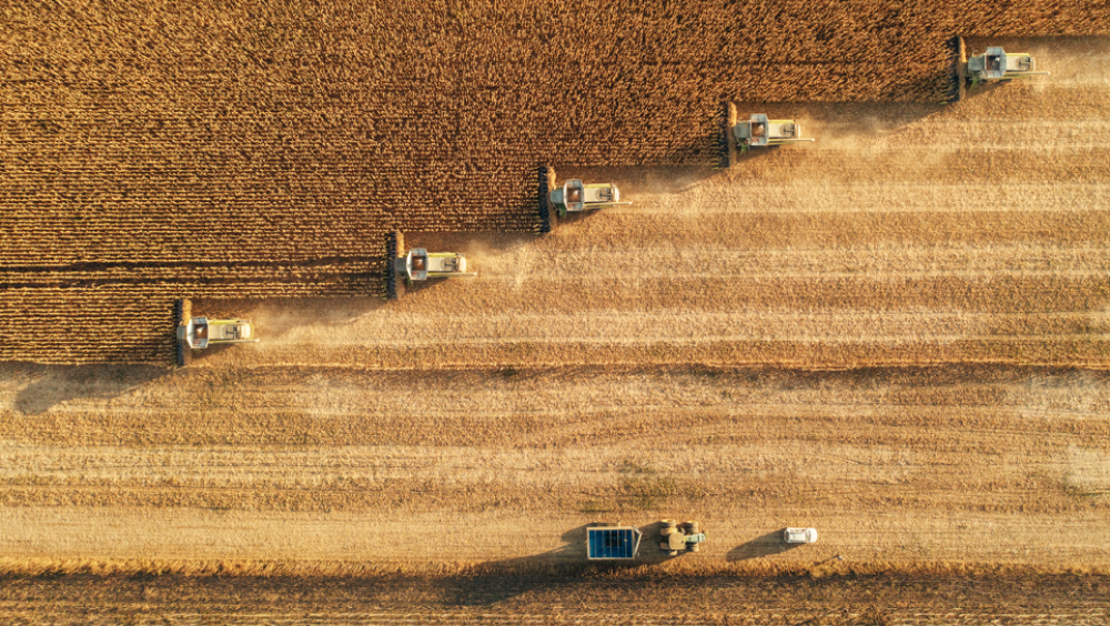 Navigating Commodity Markets - Card Overhead view of five tractors collecting crops in a field
