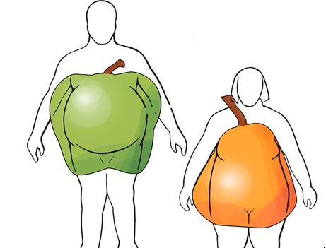 An image of a body with an apple over it and another body with a pear over it.