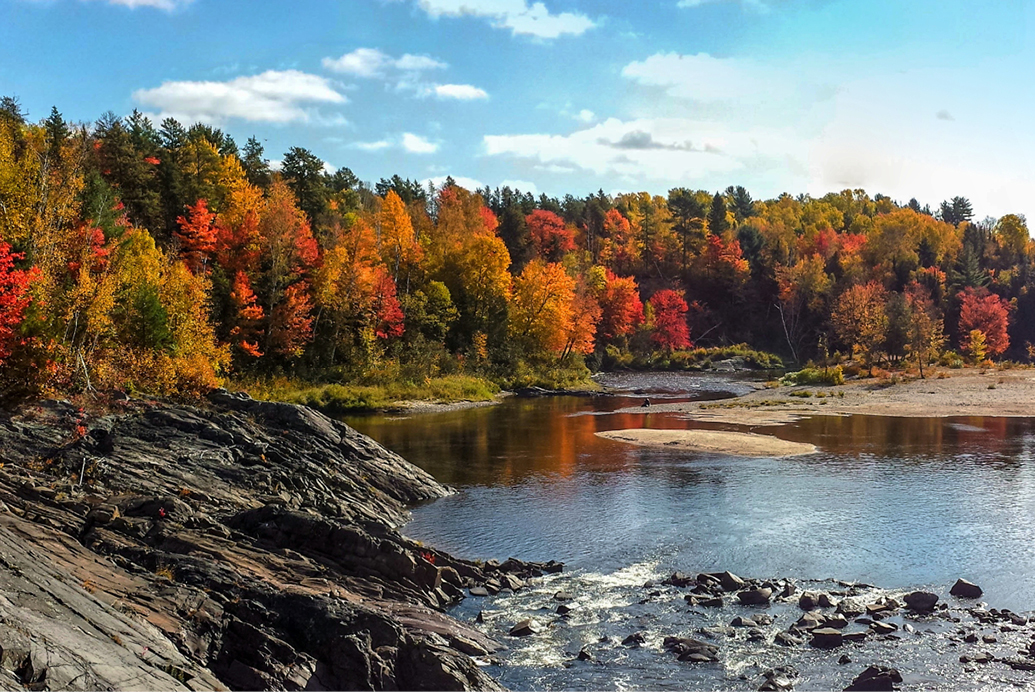 Stay updated with our member newsletter image