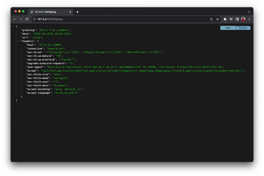 Default Loopback ping page